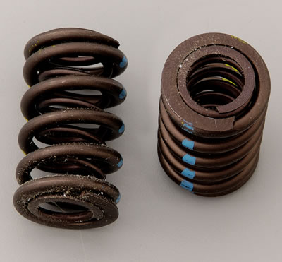 Crane Double Valve Springs