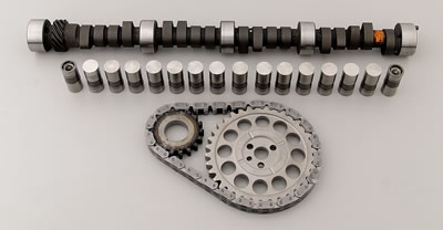 206/206 Cam Lifters and Timing Chain