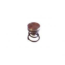 Turbo Buick Roller Cam Button